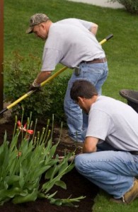 NYS Workers Comp Rate 0042 For Landscape Gardening & Drivers